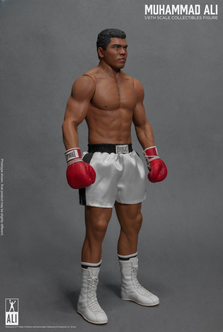 The Great Boxer Action Figure