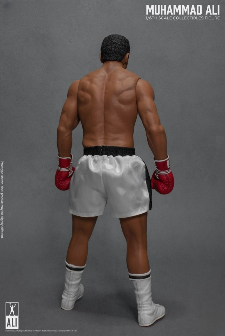 The Great Boxer Action Figure