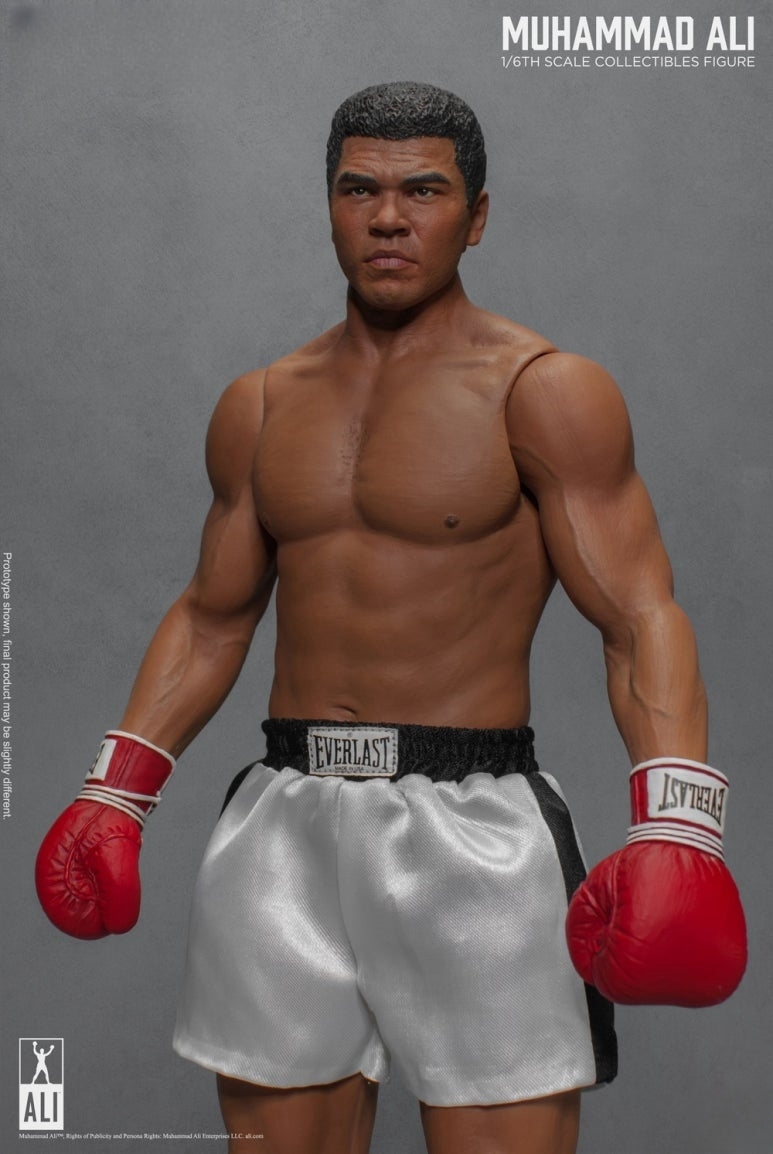 The Great Boxer Action Figure