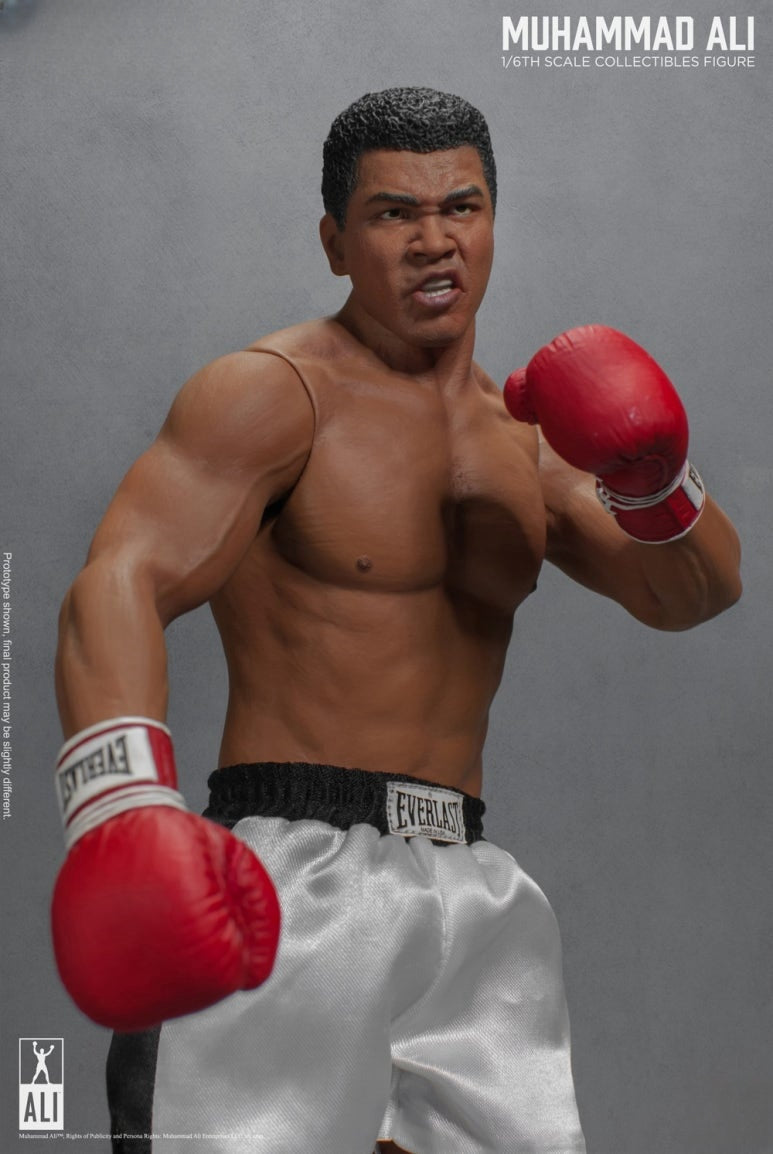 The Great Boxer Action Figure