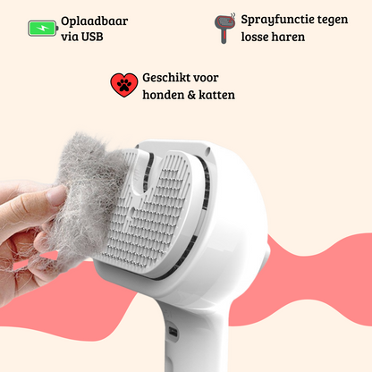 Mist Brush | Spring Shedding with Ease!