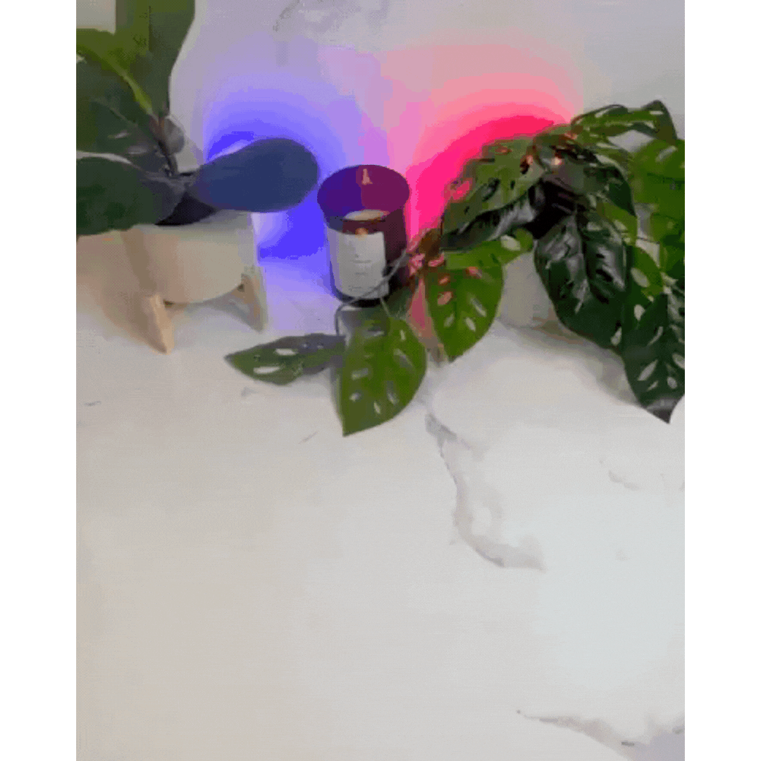 PureAir Smoke Remover