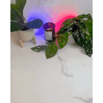 PureAir Smoke Remover