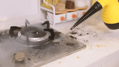 All-in-One Steam Cleaner