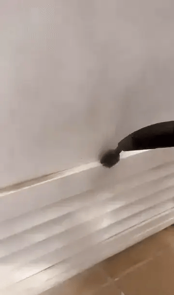 All-in-One Steam Cleaner