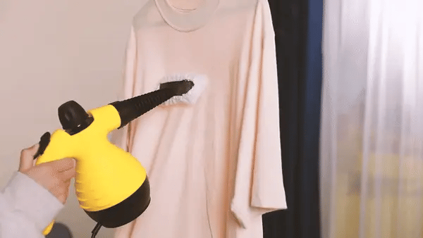 All-in-One Steam Cleaner