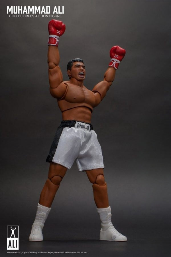 The Great Boxer Action Figure